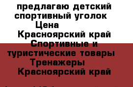 предлагаю детский спортивный уголок › Цена ­ 3 500 - Красноярский край Спортивные и туристические товары » Тренажеры   . Красноярский край